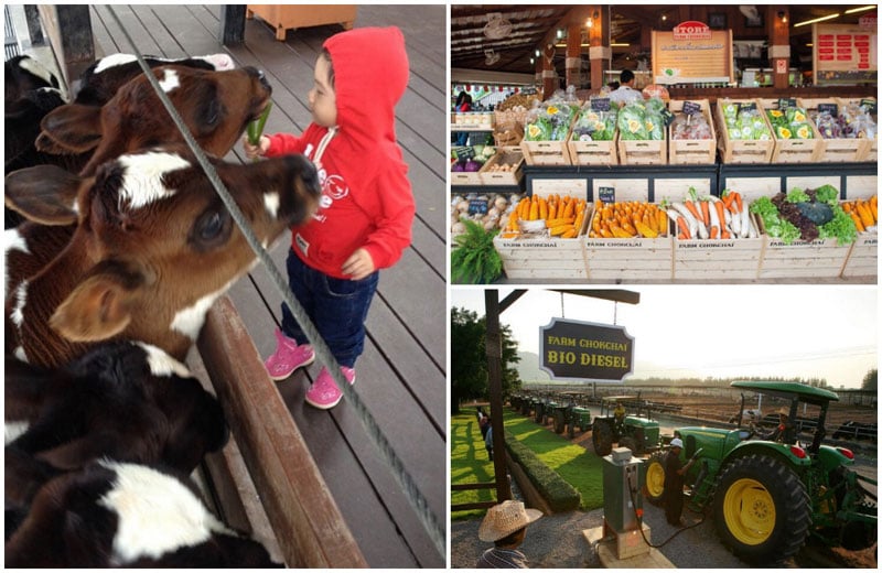 3-d-collage-via-leo_lowenherz,-farmchokchai