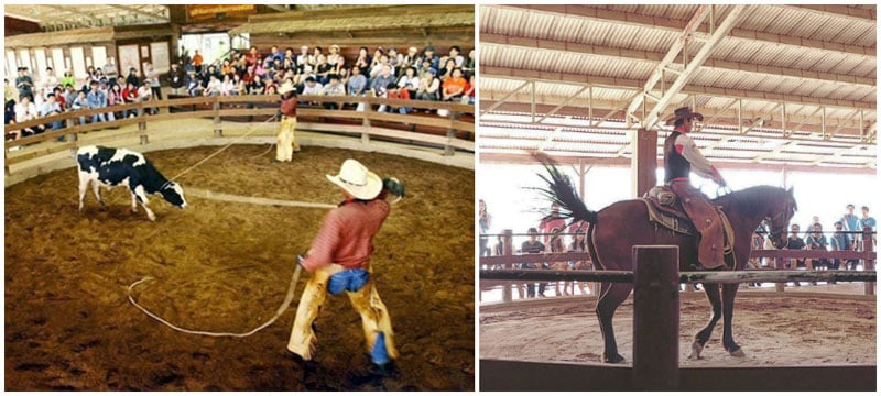 3-d-cowboy-show-via-prevuew