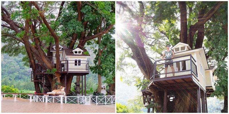 5-2-treehouse-via-non_stepp,-ppile