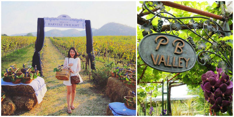 7-1-farm-collage-via-bosurinseng