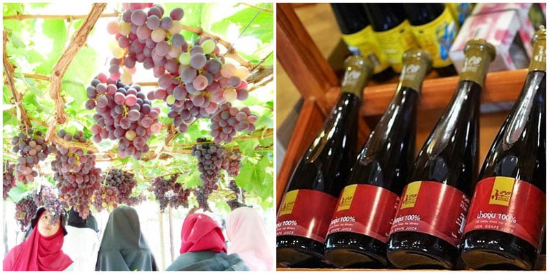 7-3-grape,-wine-via-n.moment