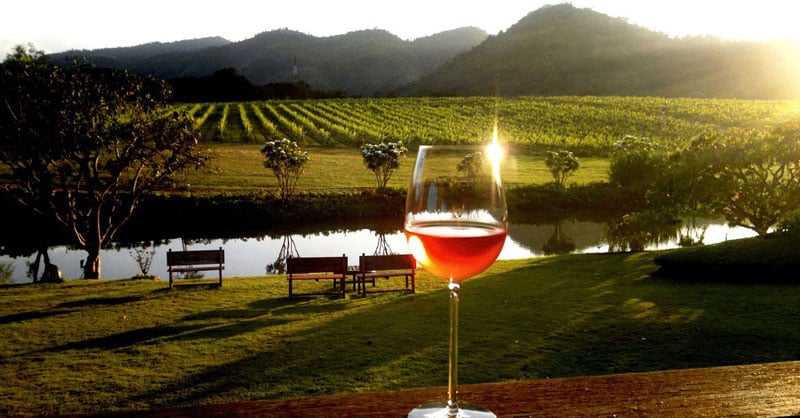 7-4-wine-tasting