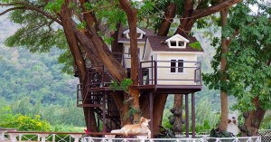 15 unique cafes/restaurants in Khao Yai & Pak Chong you must visit