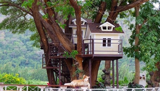 15 unique cafes/restaurants in Khao Yai & Pak Chong you must visit