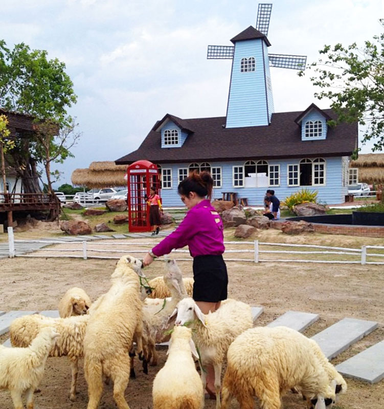 10-3-sheep-via-I3aitoey