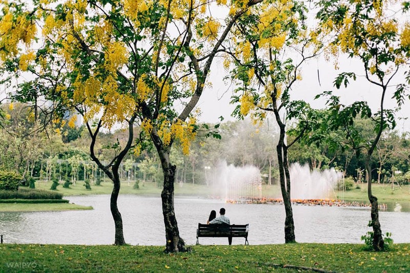 14-Butterfly-Garden---Queen-Sirikit-Park---via-waipyow