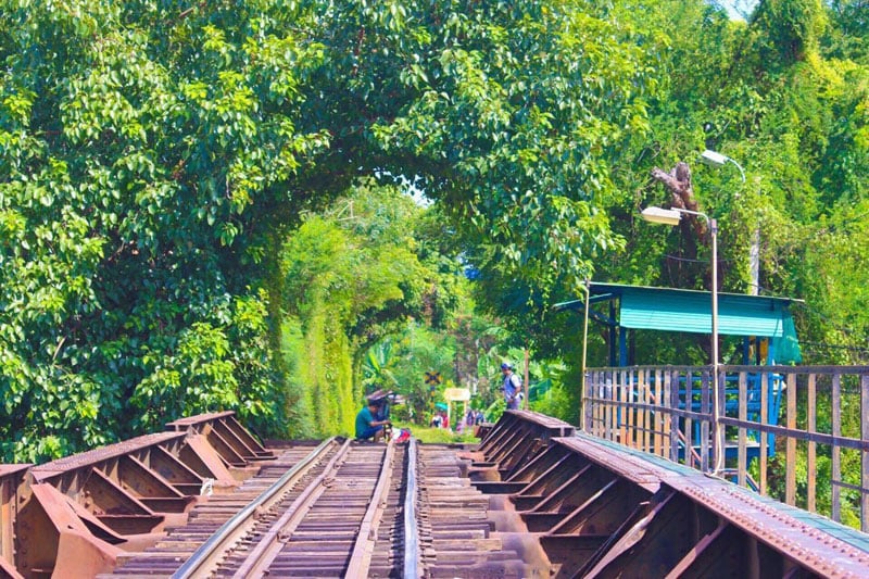 15-Chom-Thong-tree-tunnel2-via-Usasran-Charoensawas