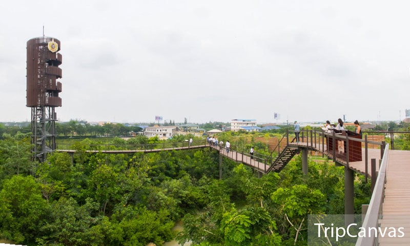 16-1-overview