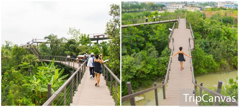16-3-skywalk
