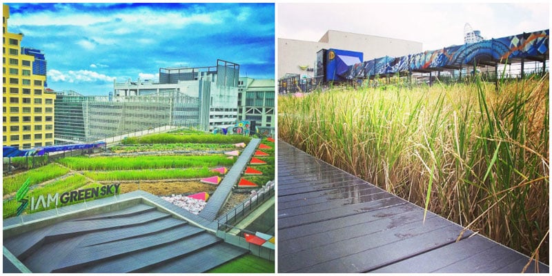 17-Siam-Green-Sky-via-khunaux,-natty_yui