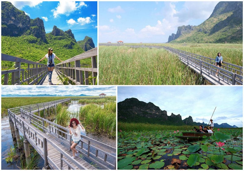 19-d Bueng-Bua-Wood-Bridge-via-Hua-Hin-Bliss-Travel,-sutipsuda,-mint_party,-iam___may
