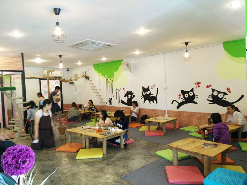 4-3-dcatcafe-by-dcatcafe