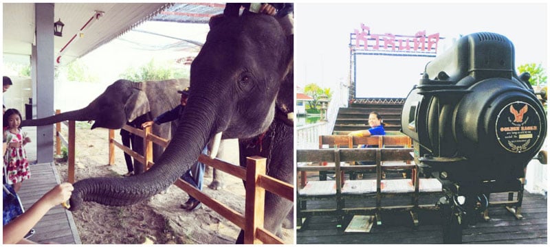 4-elephant-show,-open-cinema-via-mick.spm,-n_army