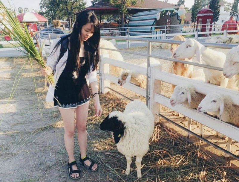 5-sheep-via-meihua_ruby1110