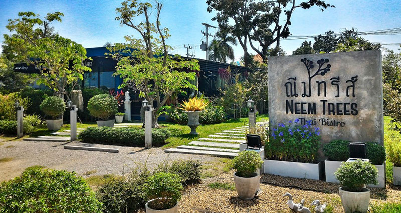 8-4-neemtrees-by-huahin.town