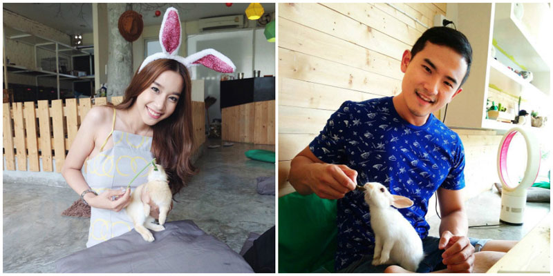 11-3-rabbit-Rabbito-Cafe-via-pimpattrapim,-hohiohnor_p