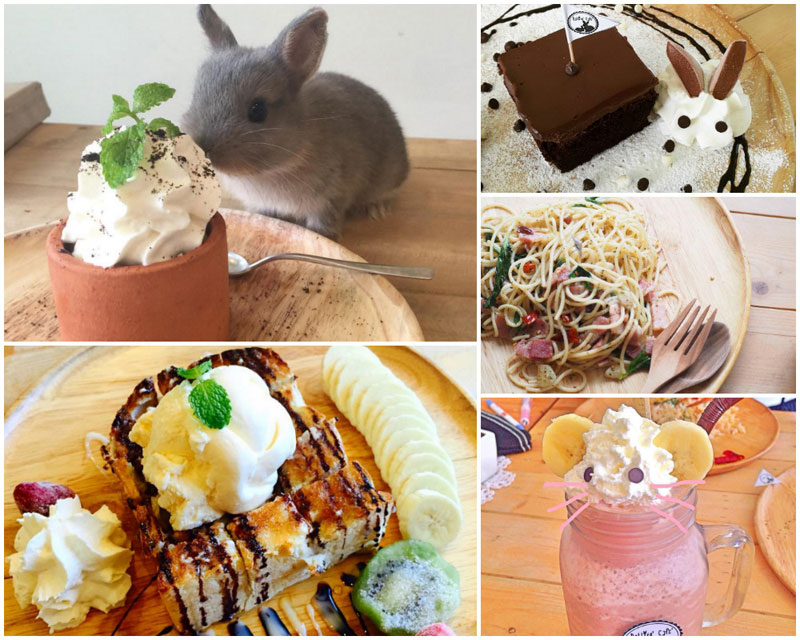 11-4-food-collage