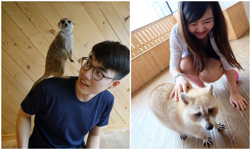 18-3-petting-via-f3rddd,-chaya.z