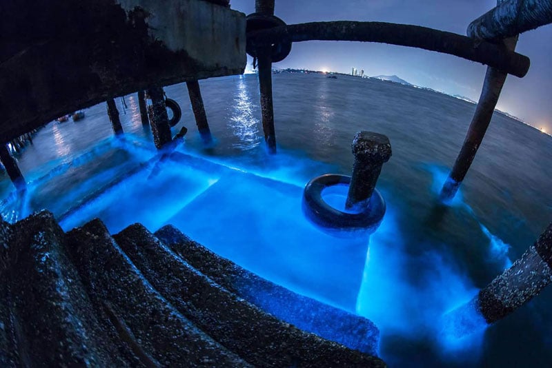 20-glowing-plankton-via-Aonzphotographer