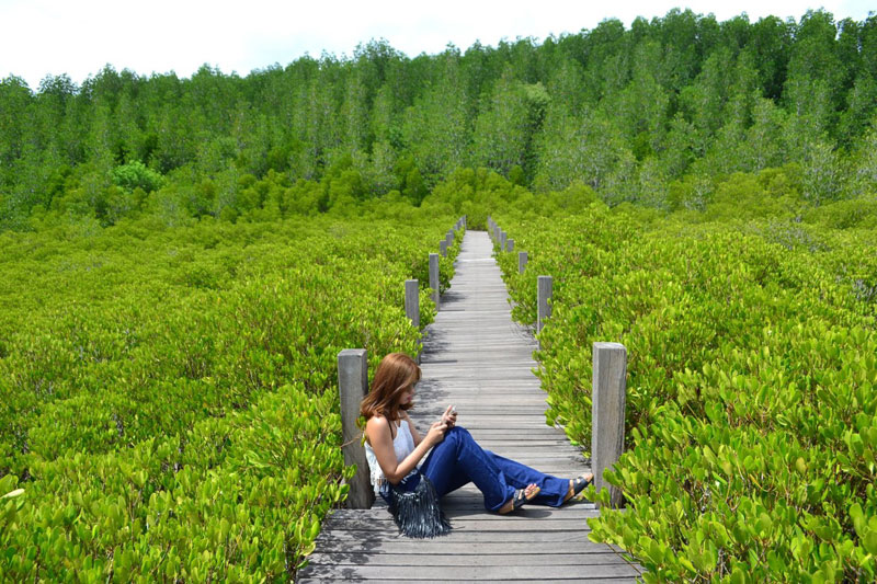 21-1-Golden-Meadow-in-Rayong