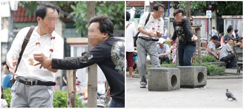 5-1-bird-scams-collage-via-Richard-Barrows-in-Thailand
