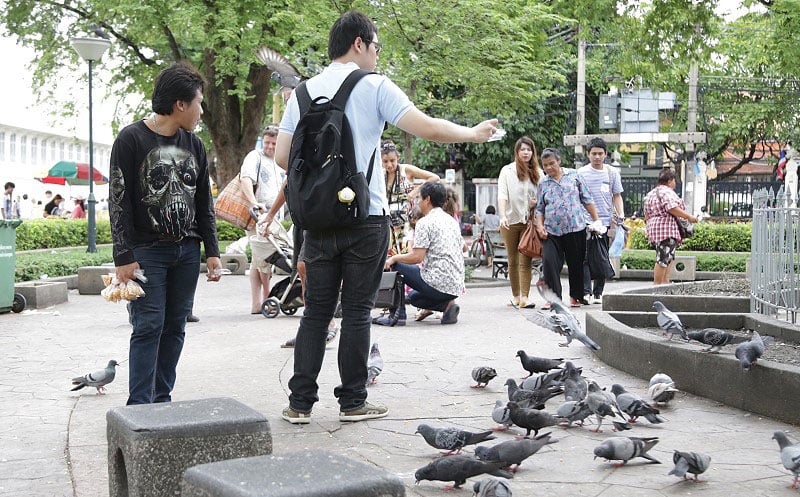 5-2-bird-scams-via-Richard-Barrows-in-Thailand
