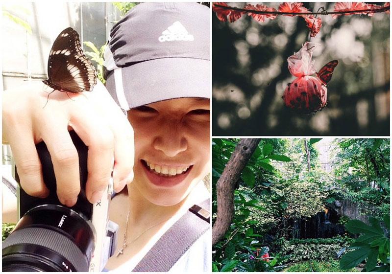 5-6-butterflygarden7-by-pommechan,-khunaux,-dianenamchai