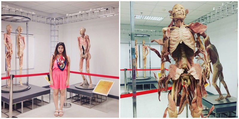 7-6-human-museum--via-roshanowais,-mel.and.the.world