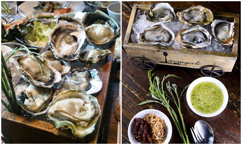 8-2-oyster-via-tahtahsantah