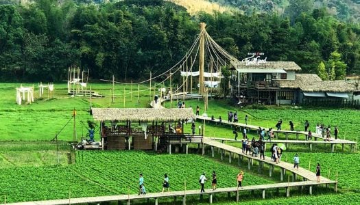 29 extraordinary cafes in Chiang Mai await: including a waterfall restaurant, jungle cafe, and garden cafe!