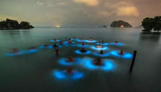 23 extraordinary things to do in Krabi for every wanderlusting adventurer