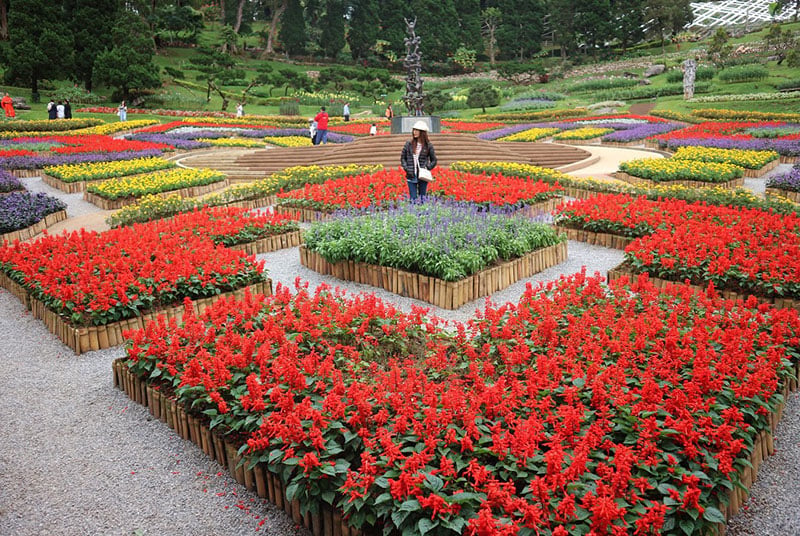 main garden 2