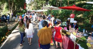 6 reasons to visit Doi Tung in Chiang Rai between December and January