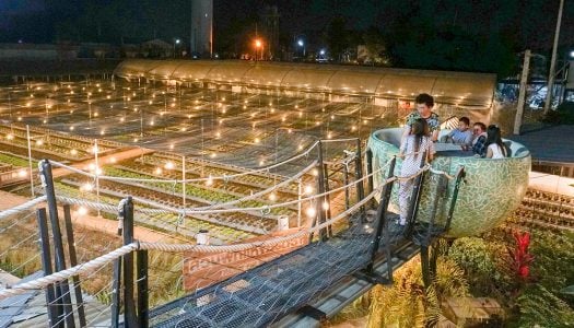11 Must-try local food in Chiang Mai