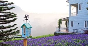 Magical town above the clouds: 25 things to do in and around Khao Kho, Thailand