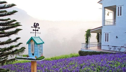 Magical town above the clouds: 25 things to do in and around Khao Kho, Thailand