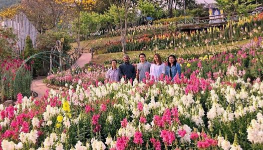 8 highlands and mountain townships in Thailand with cold weather, great views and fun things to do