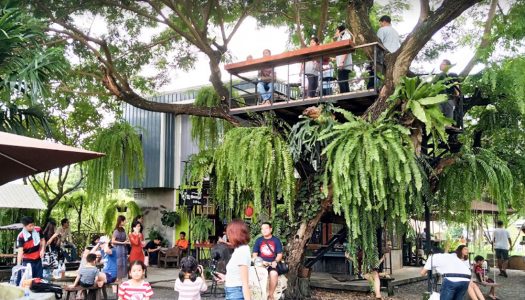 7 reasons to bring your kids to Cafe Farm (บ้าน๑,๐๐๐ไม้cafe’&farm) in Bangkok, a family-friendly farm cafe