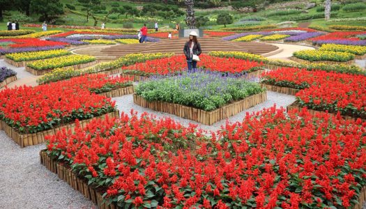 5D4N Romantic Chiang Mai and Chiang Rai itinerary for couples