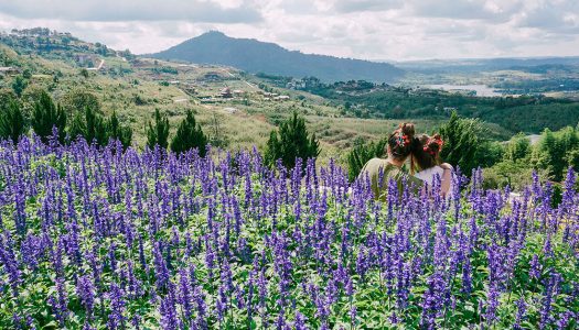 5D4N Winter itinerary to Khao Kho & Bangkok: Bring your family on a magnificent roadtrip they won’t forget!