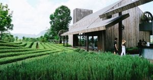 Day trip from Bangkok: 2D1N itineraries in Khao Yai for couples and families