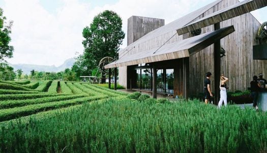 Day trip from Bangkok: 2D1N itineraries in Khao Yai for couples and families