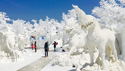 5D4N Pattaya and Bangkok Family-Friendly Itinerary under $390