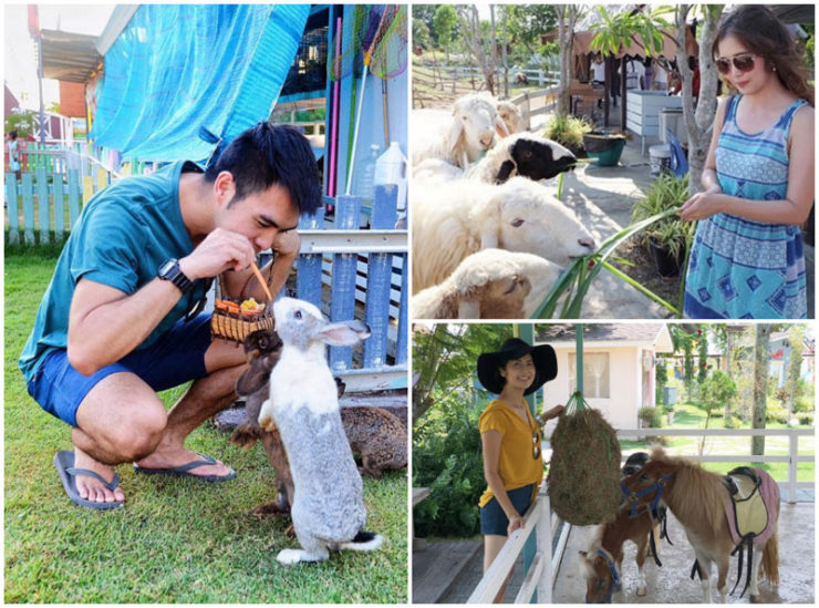 piassie,ploy areenard, Wiwatchai knot