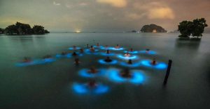 阳光,沙滩,海洋全都在这里 : 泰国Krabi甲米 19大必去景点