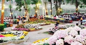 第一次游北泰？5天4夜清迈浪漫双人行程攻略，你只要跟着我们就对了！