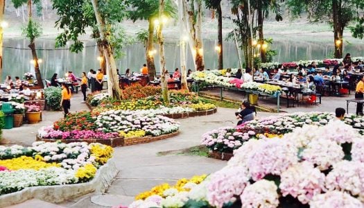 第一次游北泰？5天4夜清迈浪漫双人行程攻略，你只要跟着我们就对了！